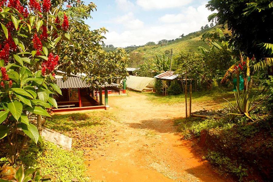 Caficultur -alojamiento Rural * Buenavista (Quindio)