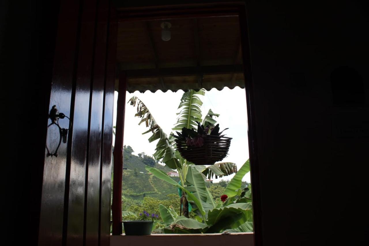 Caficultur -alojamiento Rural 鄉村民宿